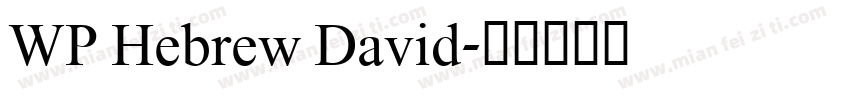 WP Hebrew David字体转换